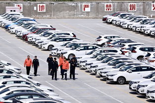 筑牢安全防火墻 消防安全檢查走進(jìn)新疆最大商品汽車(chē)專業(yè)貨場(chǎng)