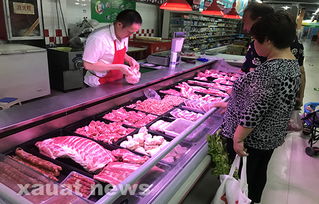食品安全無(wú)小事 土木工程學(xué)院暑期社會(huì)實(shí)踐探索食品安全與互聯(lián)網(wǎng)服務(wù)融合